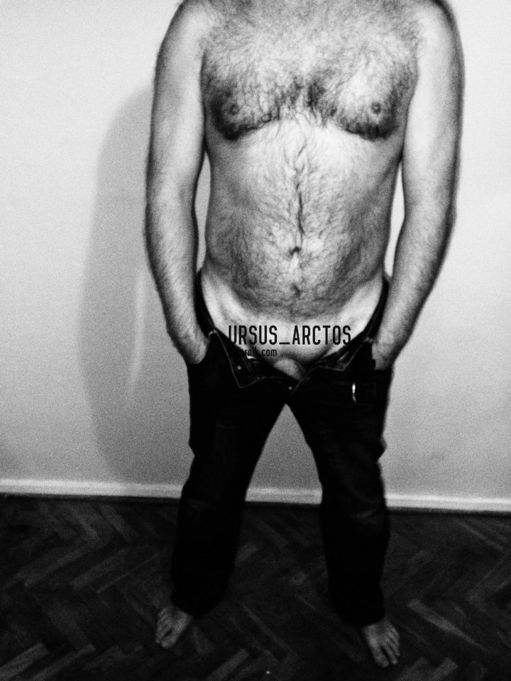 ... - Ursus_Arctos_