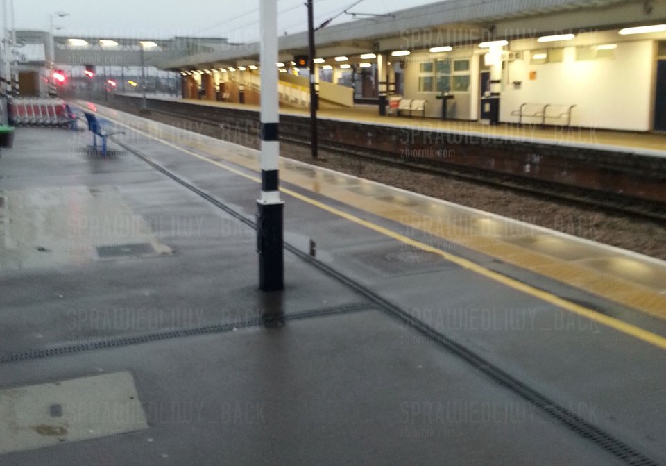 fotka.jpg - sprawiedliwy_back