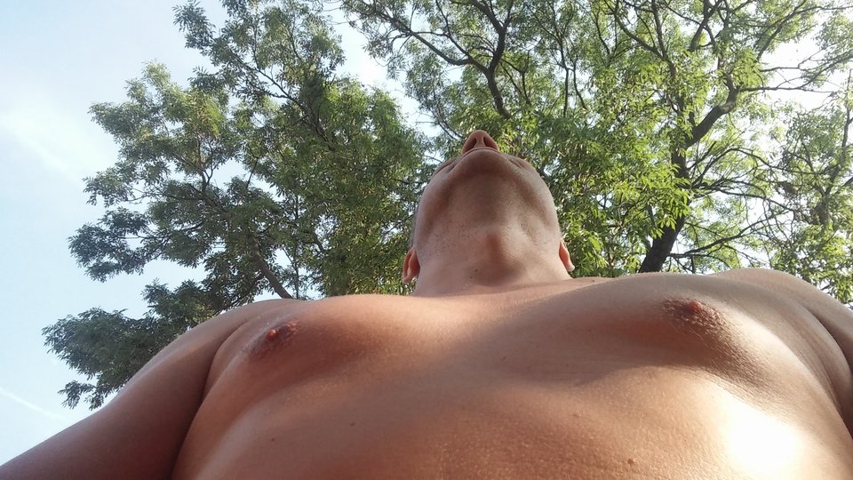 20160726_092230.jpg - kurkis