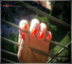 Pazurki w słoneczku