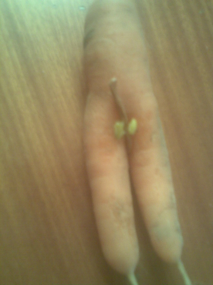 Zdjęcie290.jpg - agi123