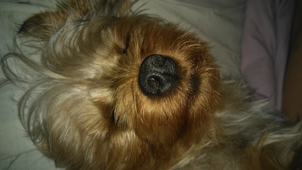 Dobranoc - Nikt_taki