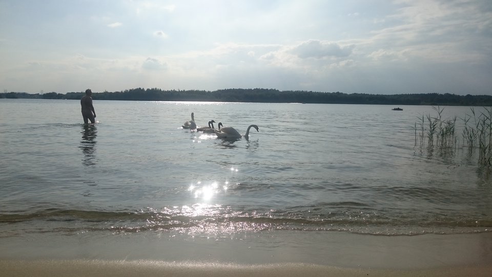 DSC_2278.JPG - helix