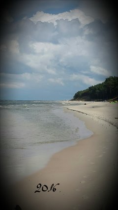 2016-08-05 17.19.02.jpg