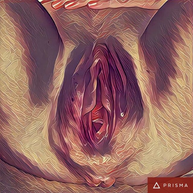 6fcfb06935cbccbc7fa938809773eb43resNetFinal_8.jpg - FoxAndWolf