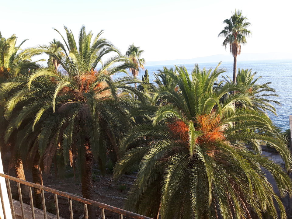 20160810_191133.jpg - fajna_parka