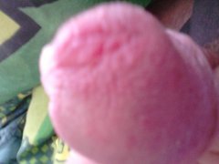 DSC_0069.jpg