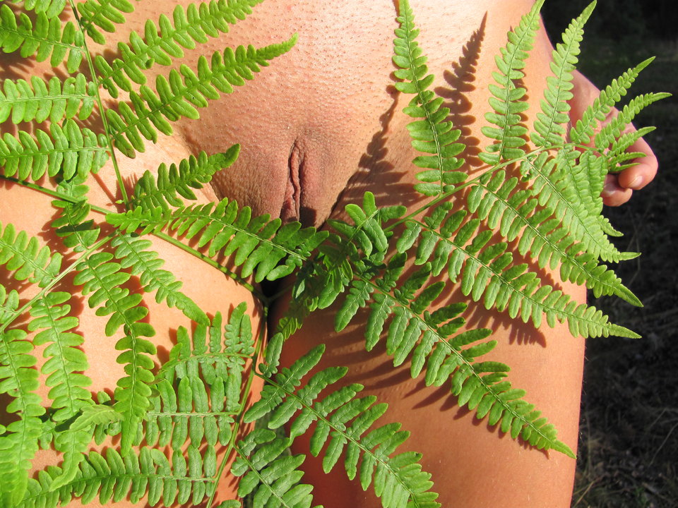 IMG_2240.JPG - Kama6