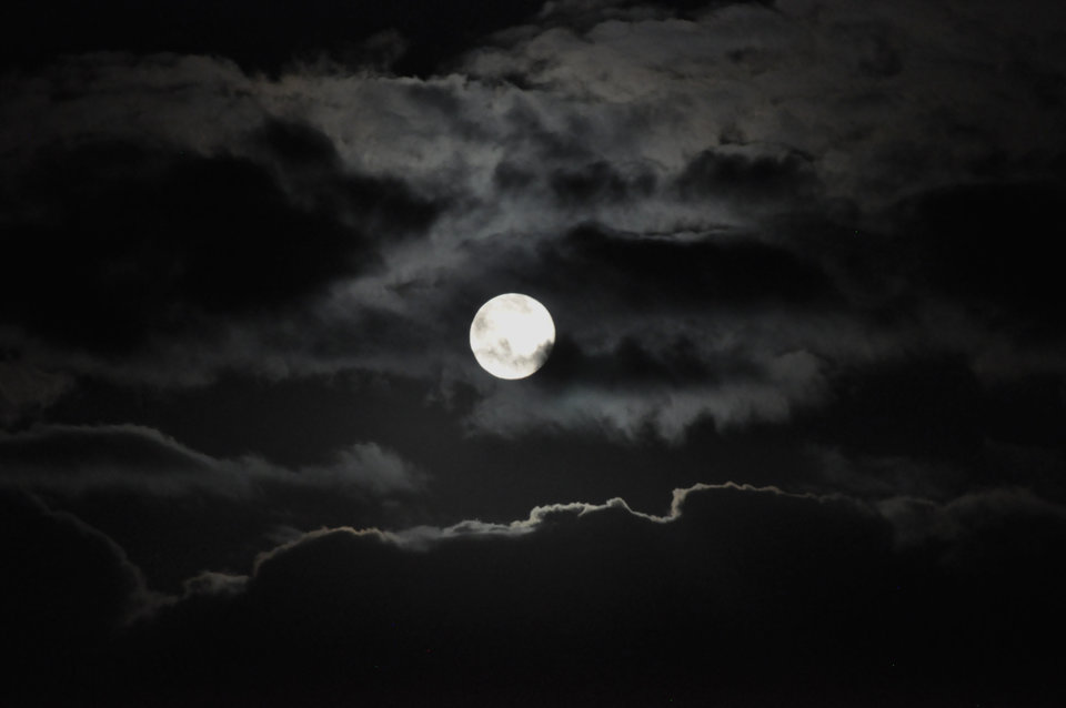 Tło - noc... - orchidea_80_72