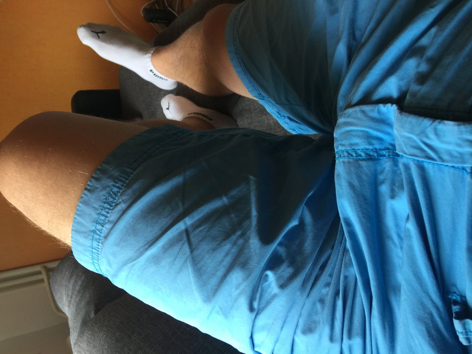 image.jpeg - pitbulll