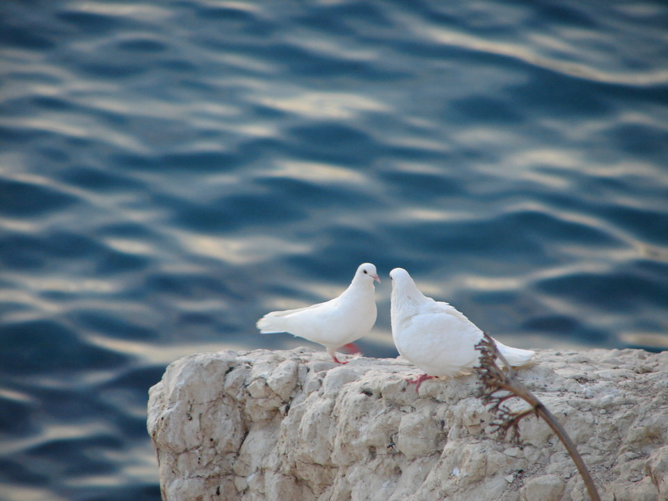 DSC05626.JPG - jozef7200