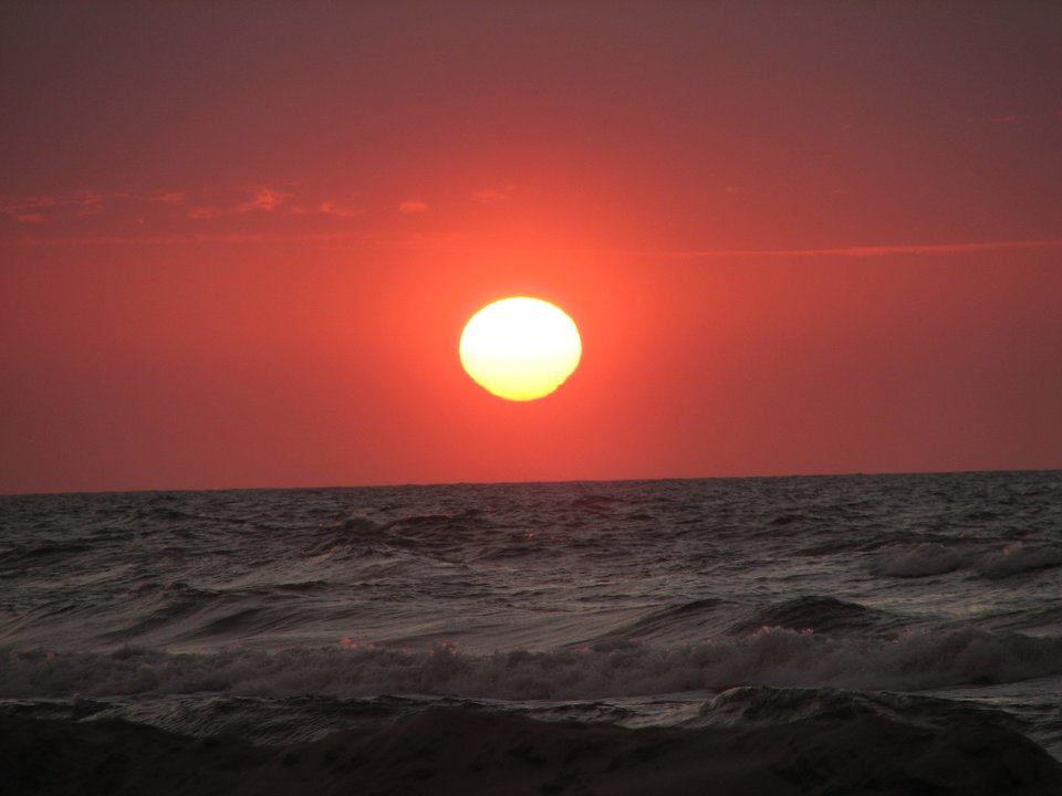 zachslonca.JPG - fredifabio