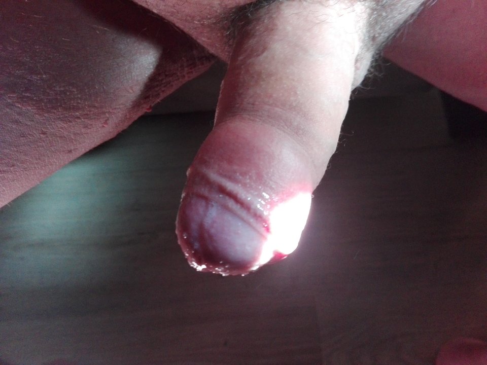 IMG_20160831_141728.jpg - medion8301