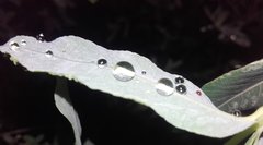 20160810_230214.jpg