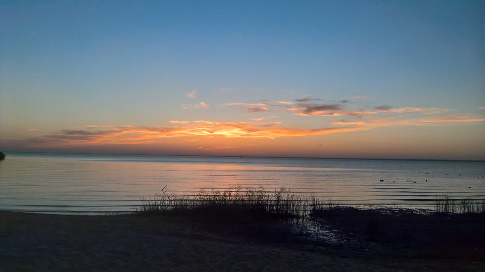 WP_20160826_19_53_36_Pro_LI.jpg - nero63