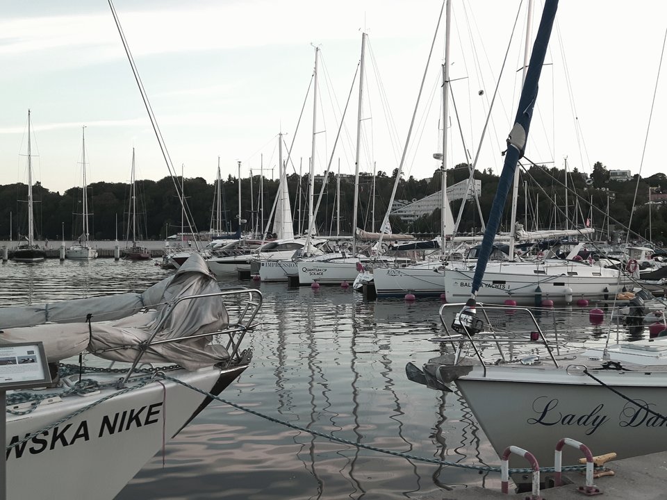 20160903_093352.jpg - ja2511