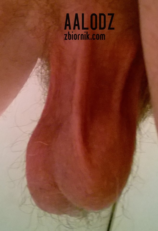 moje zbiorniki - aalodz