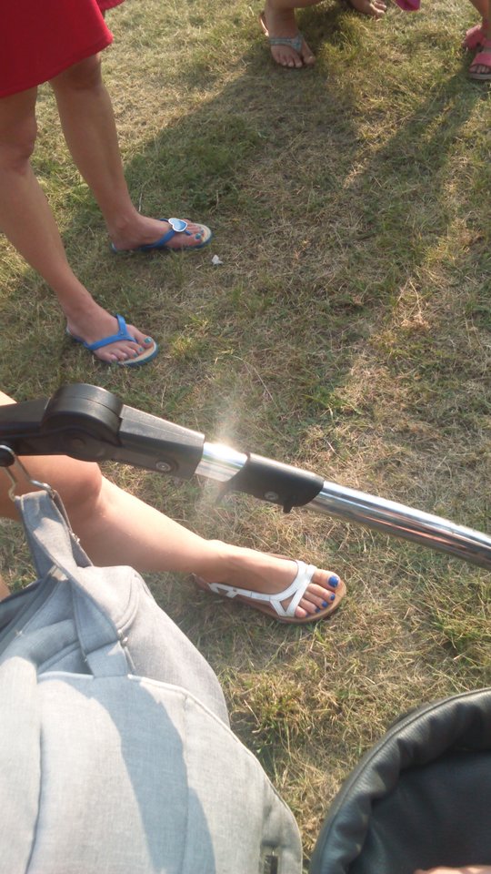 DSC_0061.JPG - HASKI1