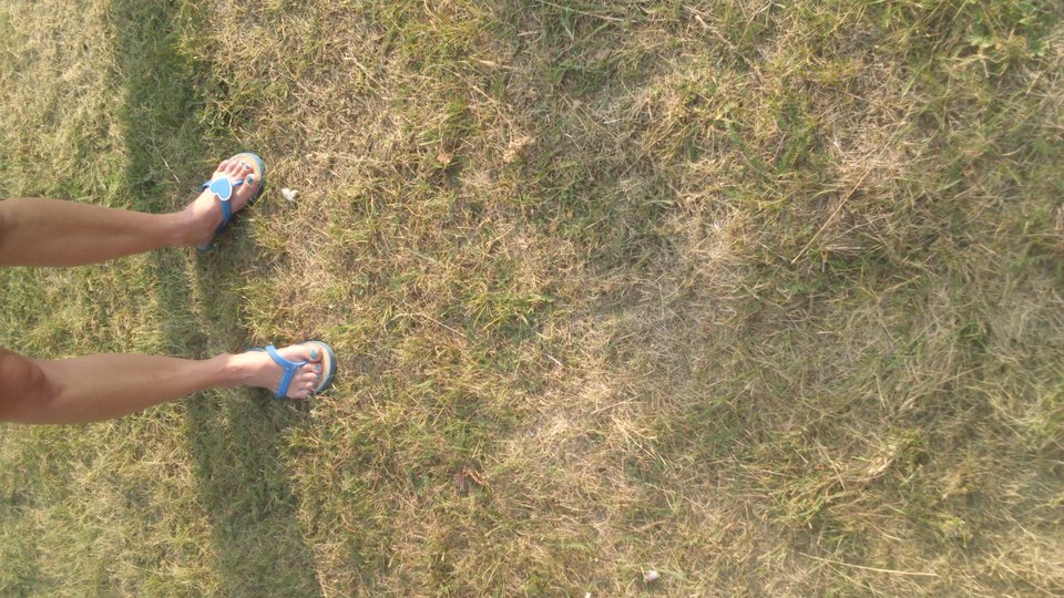 DSC_0062.JPG - HASKI1