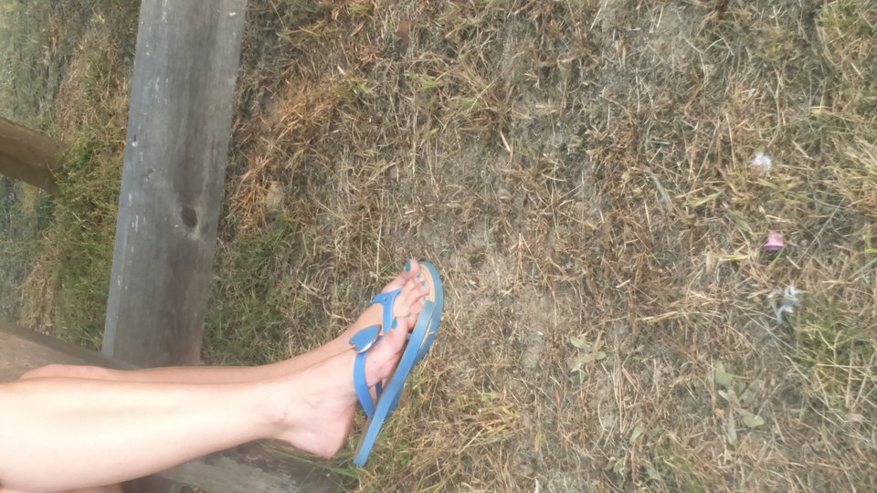 DSC_0065.JPG - HASKI1