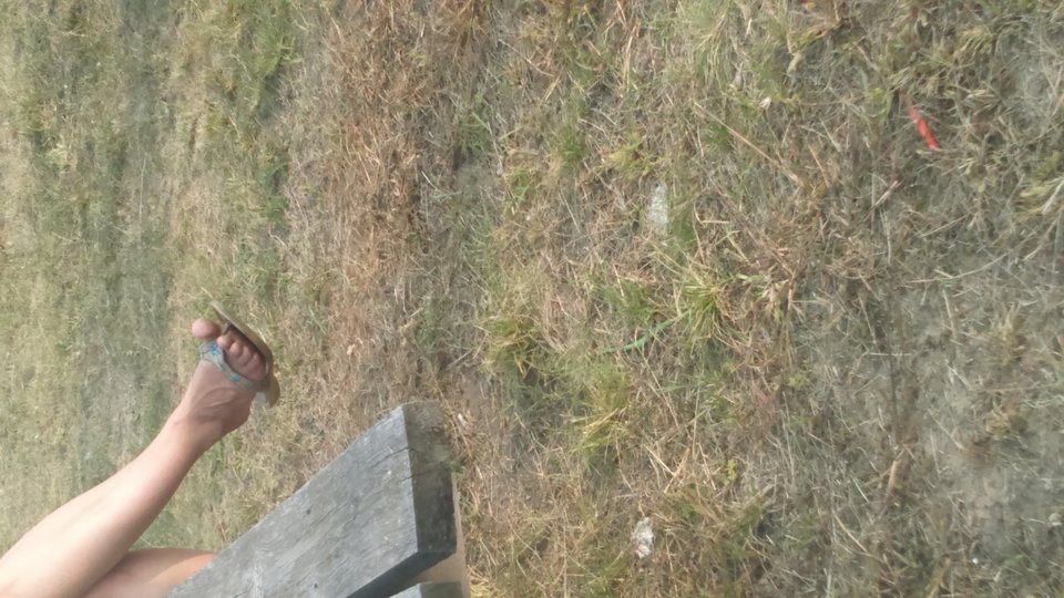 DSC_0066.JPG - HASKI1