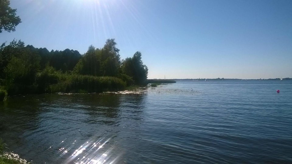 14125057_1160606017338007_7139419515354207052_o.jpg - realistka23