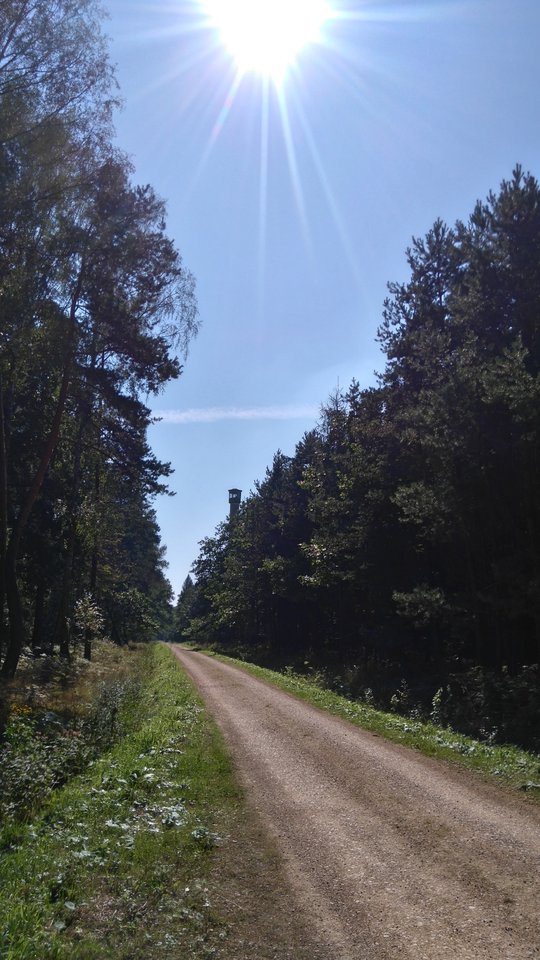 Zapraszam na spacerek :))) - wojtas388