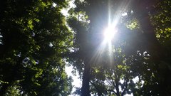 20150809_131445.jpg