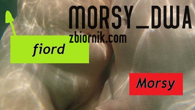 Morsy we fiordzie. - Morsy_dwa