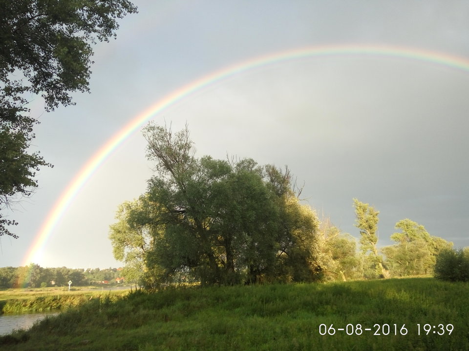 IMG_20160806_193956.jpg - marcin6363