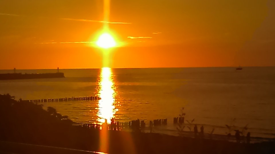 DSC_0029.JPG - romeo1102