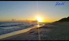 2016-09-19 16.08.50.jpg