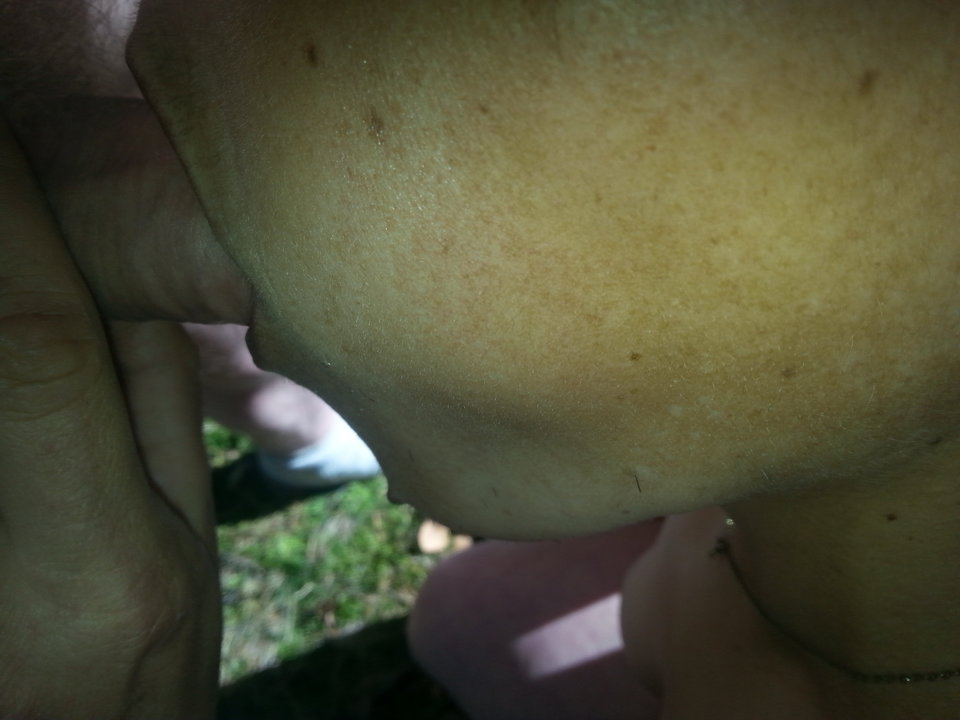 20160918_130049.jpg - glodna123