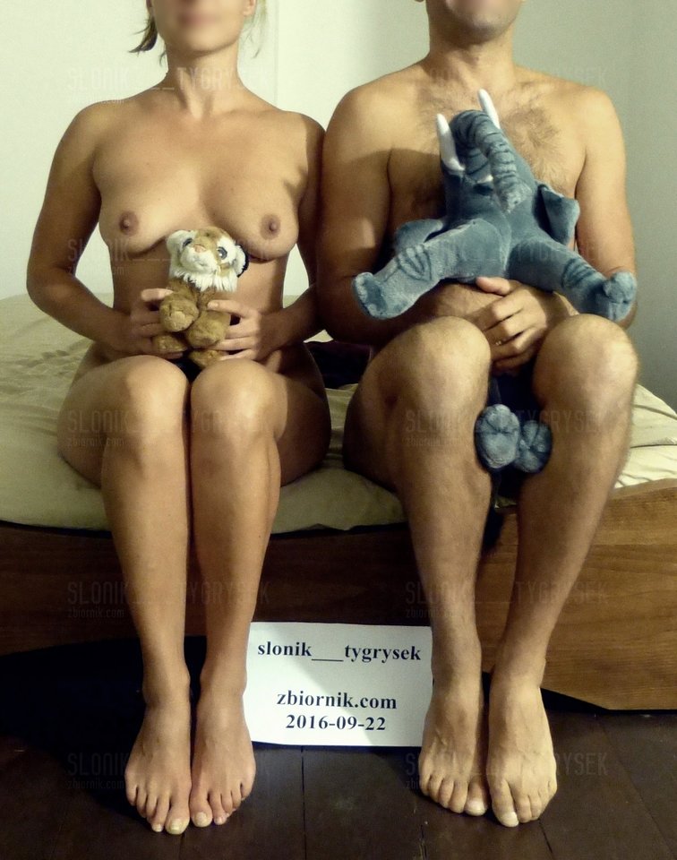 weryfikacyjne 22.09 - slonik___tygrysek