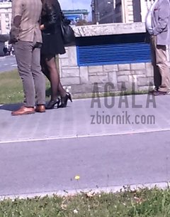DSC_8307cz.jpg