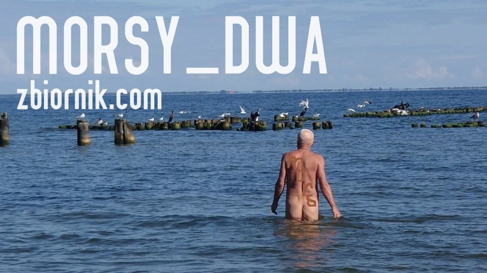 Kormorany - Morsy_dwa