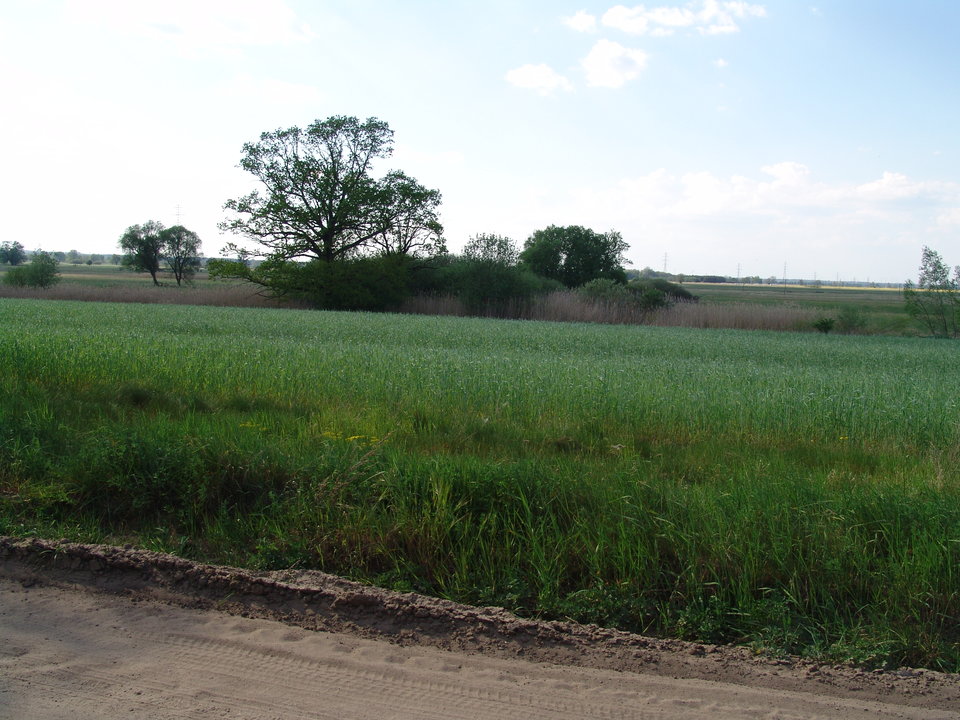 Miejsce dyskretne - Kamilia