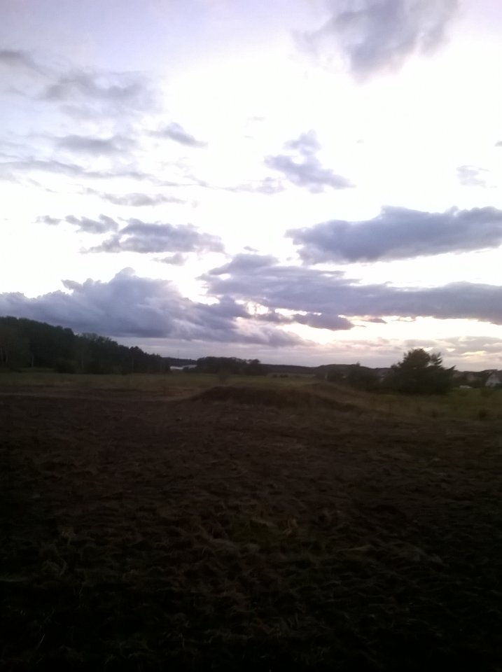 WP_20150906_009.jpg - Kamilia