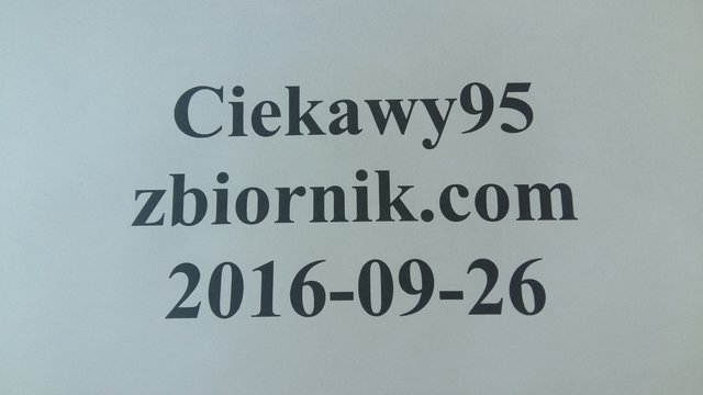 Ciekawy95