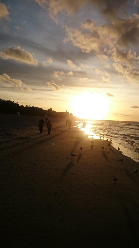 DSC_0041.JPG - czarodziej0001