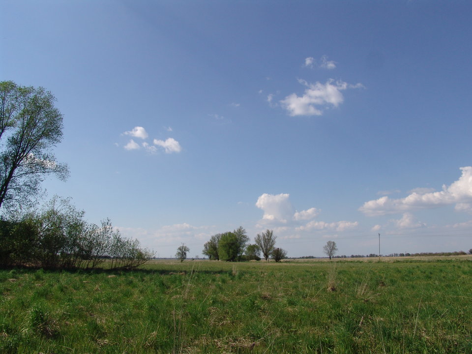 DSC08177.JPG - Kamilia