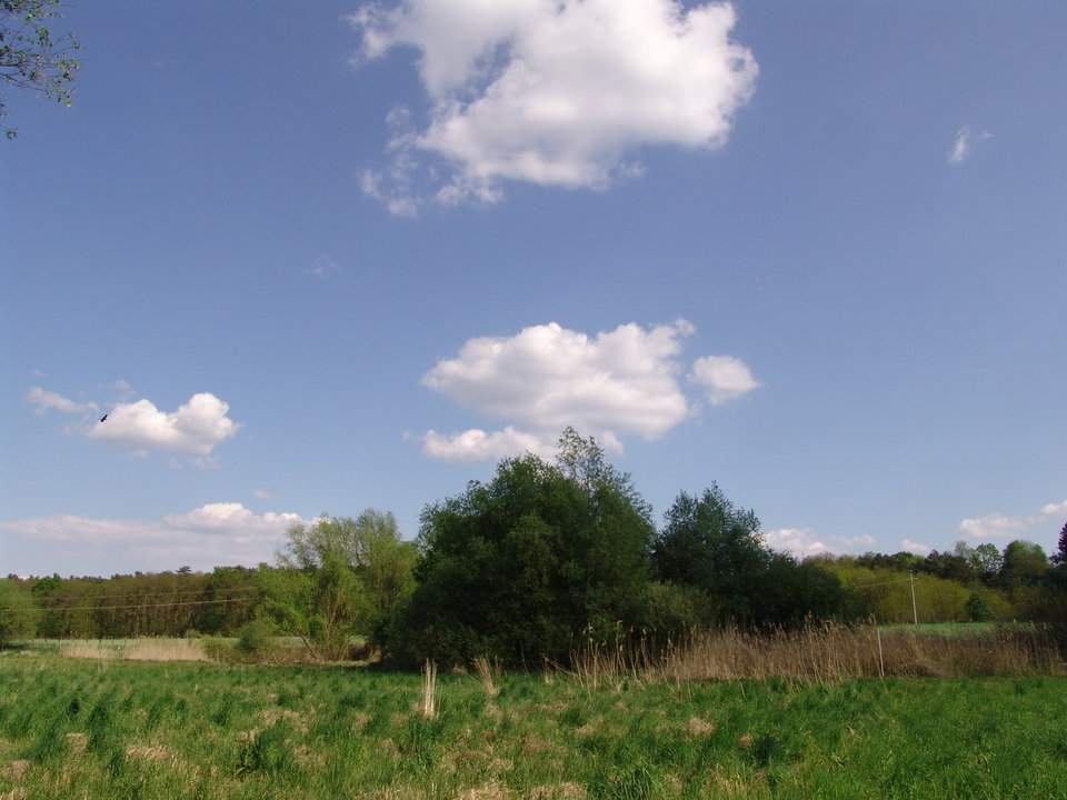 DSC08172.JPG - Kamilia