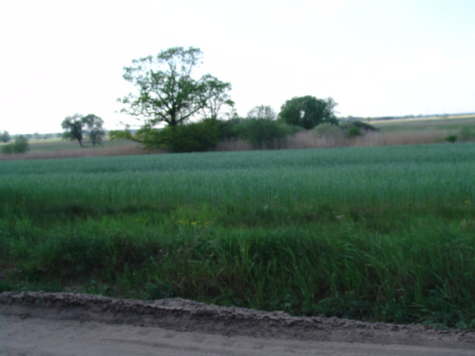 DSC08194.JPG - Kamilia