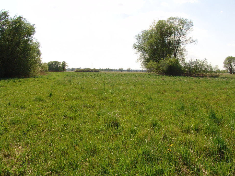 DSC08180.JPG - Kamilia