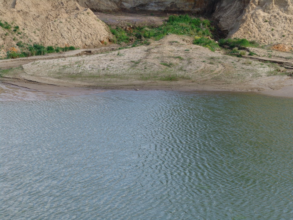 DSC08221.JPG - Kamilia