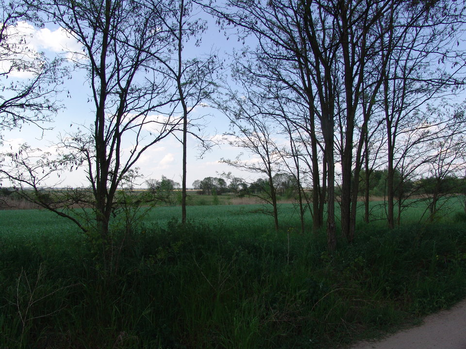 DSC08204.JPG - Kamilia