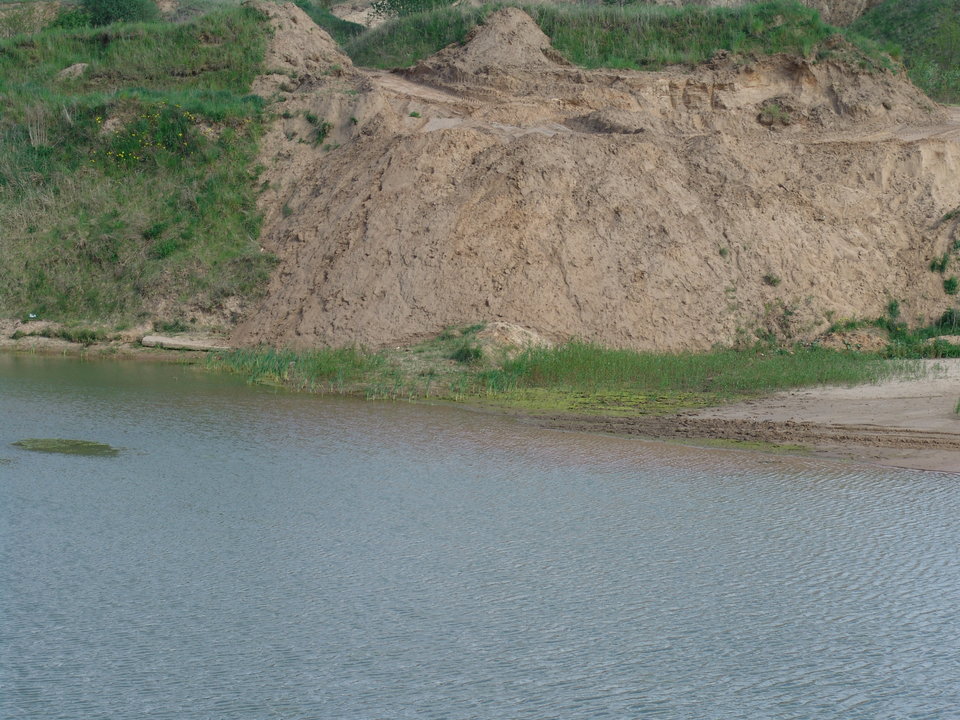 DSC08222.JPG - Kamilia