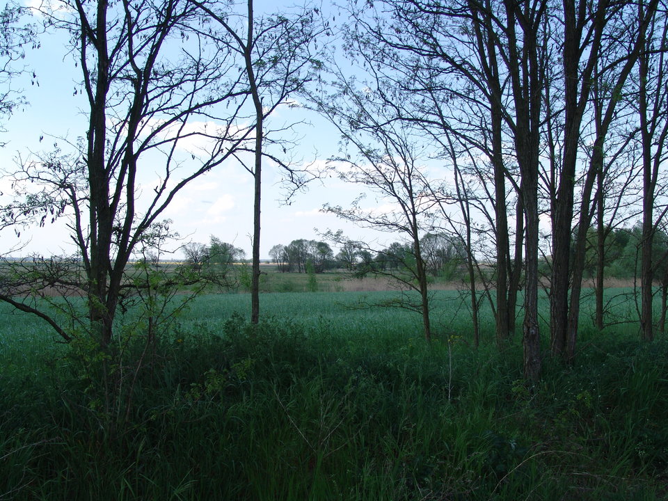 DSC08203.JPG - Kamilia