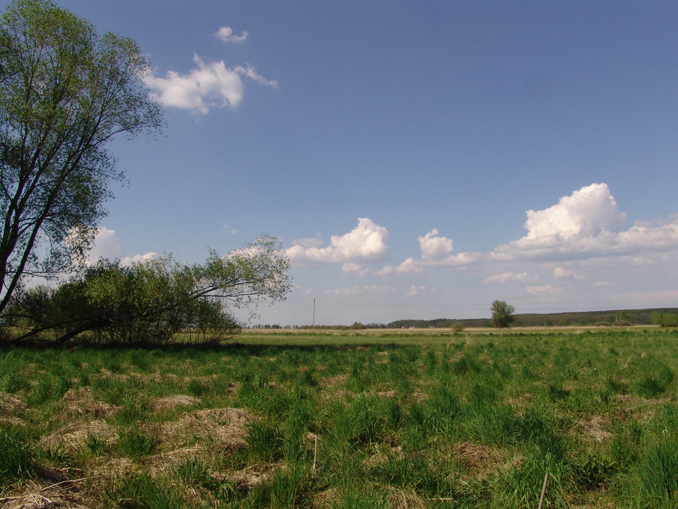 DSC08176.JPG - Kamilia