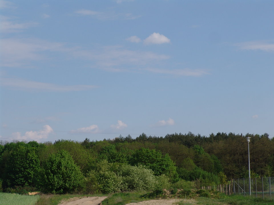 DSC08260.JPG - Kamilia